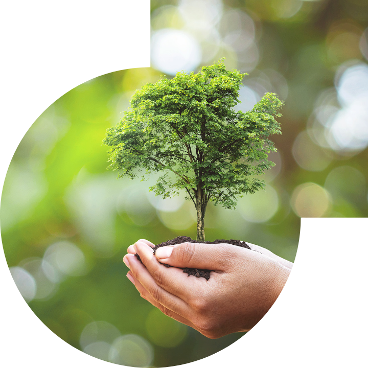 关怀人类、文化、环境与社会